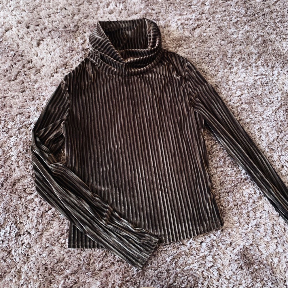 Brown Velvet Turtleneck💜